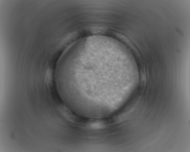 X0000113590667200910161844