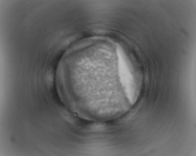 X0000113590668200910161844