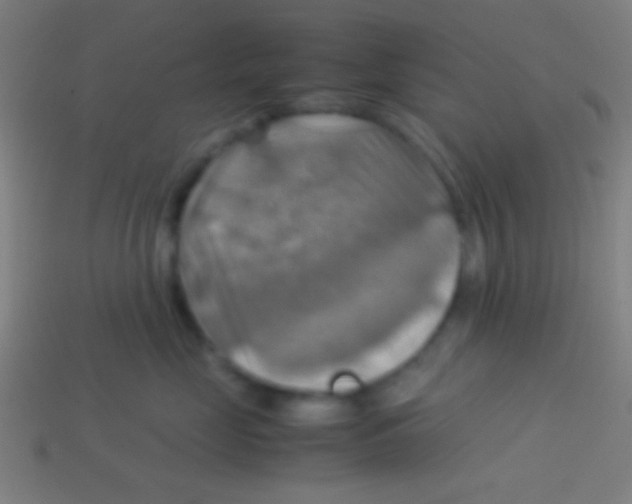 X0000113590669200910161844