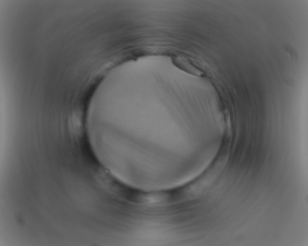 X0000113590670200910161844