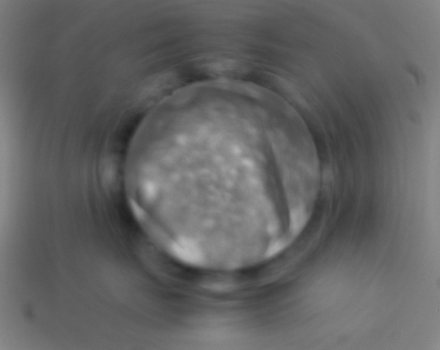X0000113590671200910161844