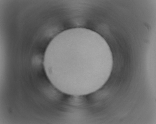 X0000113590672200910161844