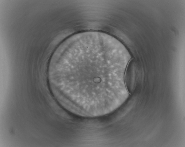 X0000113590673200910161844