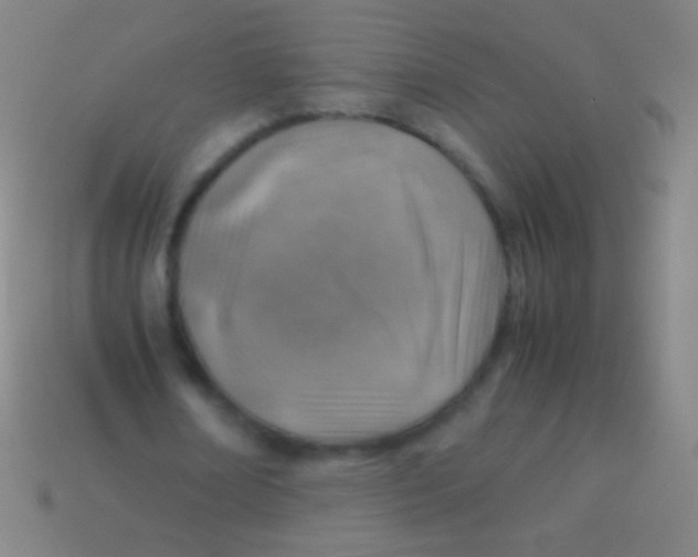 X0000113590674200910161844