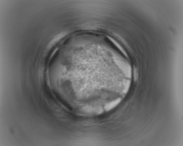 X0000113590675200910161844