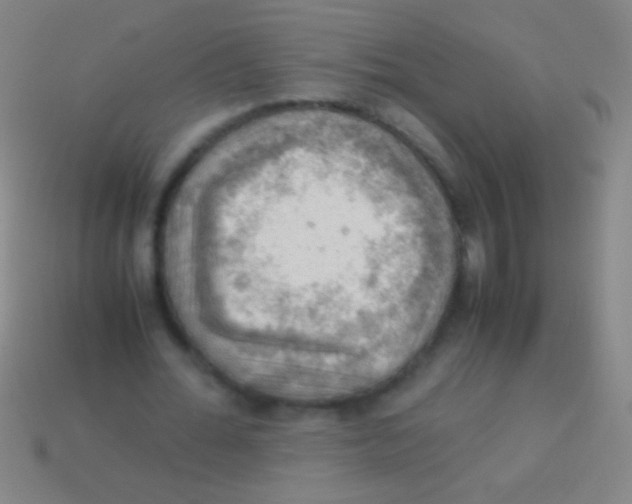 X0000113590676200910161844