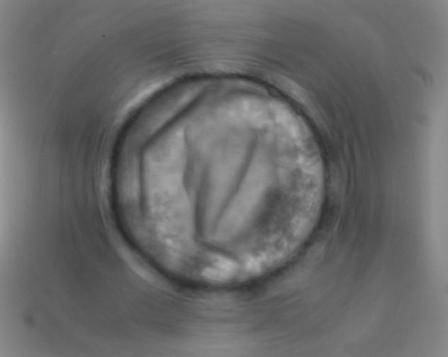X0000113590677200910161844