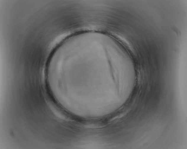 X0000113590678200910161843