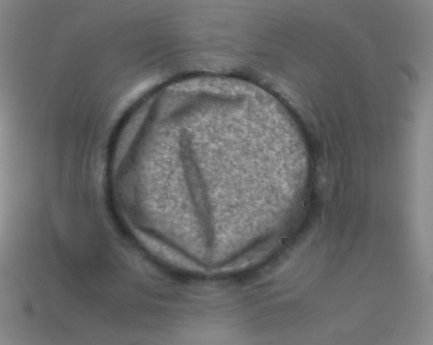 X0000113590679200910161843