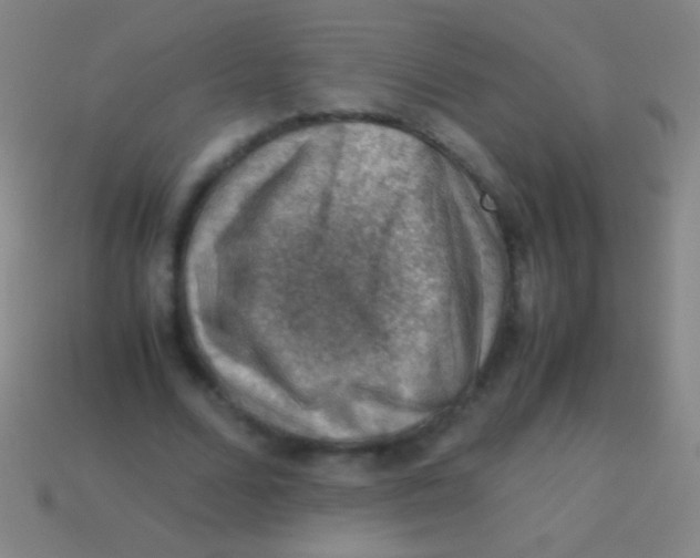 X0000113590680200910161843