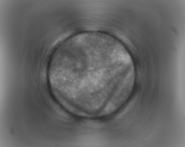 X0000113590681200910161843