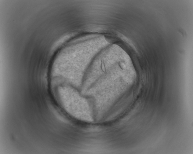 X0000113590682200910161843