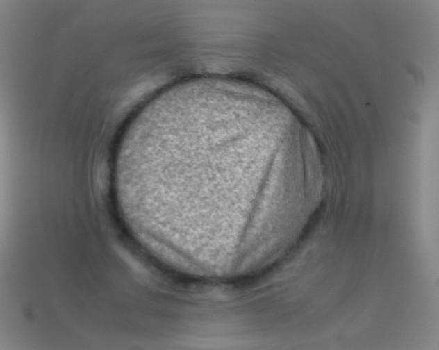 X0000113590683200910161843