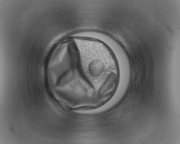 X0000113590684200910161843