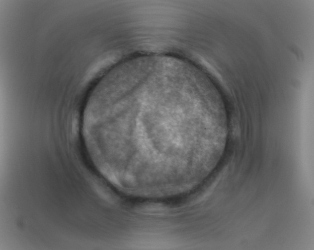X0000113590685200910161843