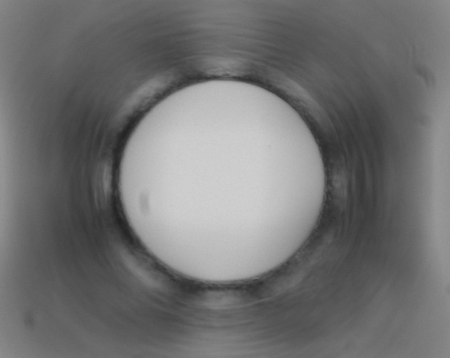X0000113590686200910161843