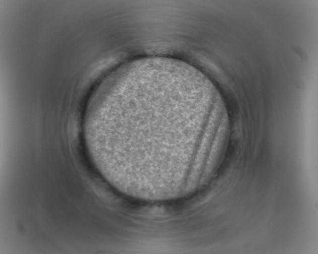 X0000113590687200910161843