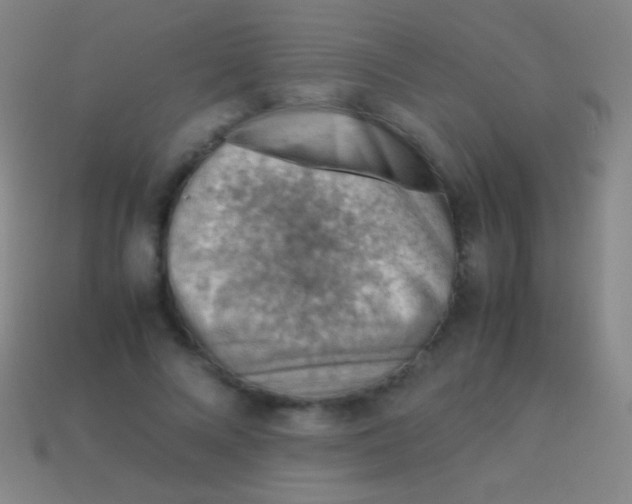 X0000113590688200910161843