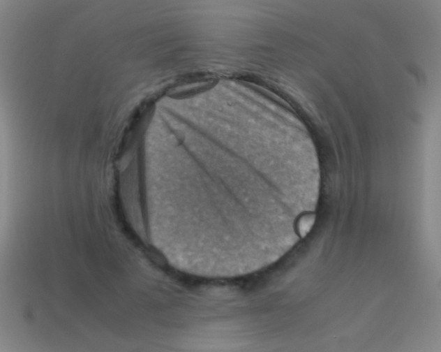 X0000113590689200910161843