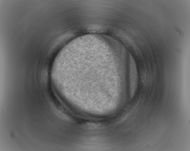X0000113590690200910161843