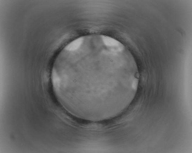 X0000113590691200910161843