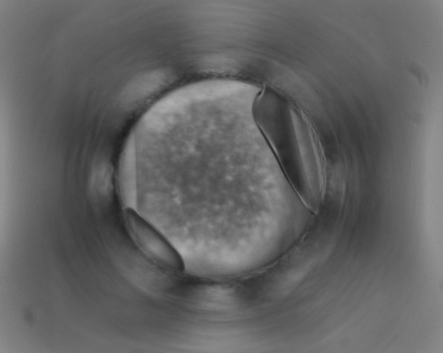 X0000113590692200910161843