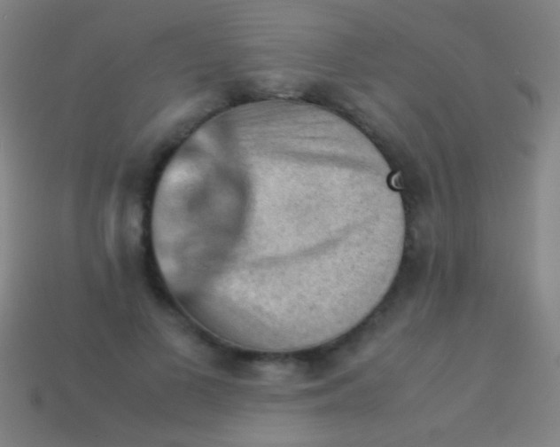 X0000113590693200910161843