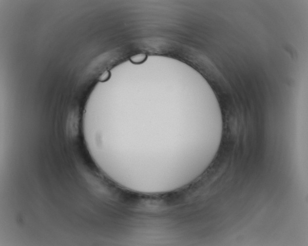 X0000113590694200910161843