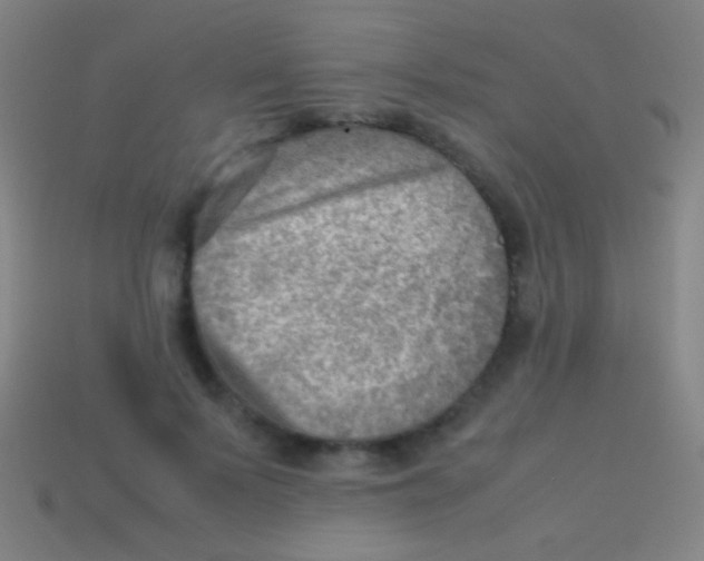 X0000113590695200910161843