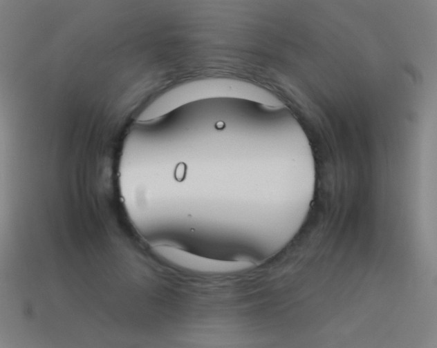 X0000113590696200910161843