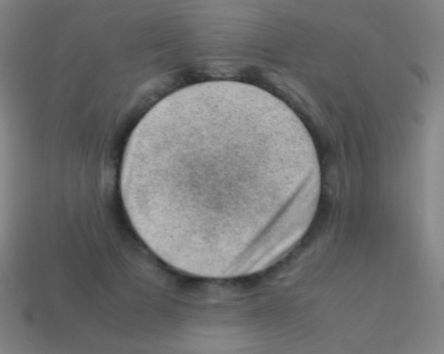 X0000113590697200910161843