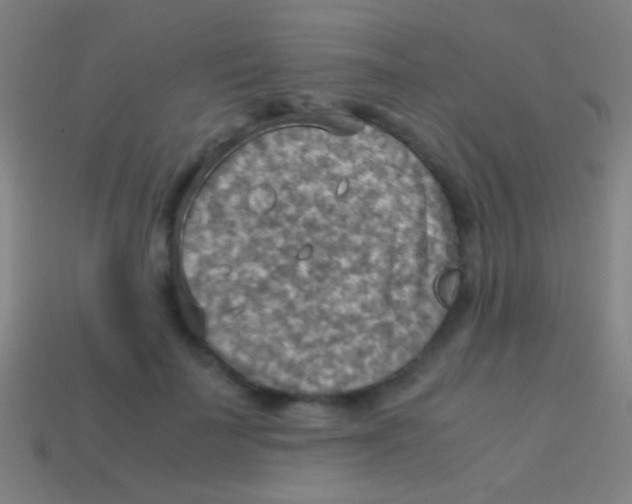 X0000113590699200910161843