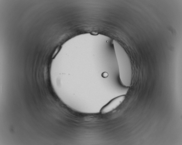 X0000113590700200910161843
