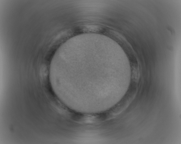 X0000113590701200910161843