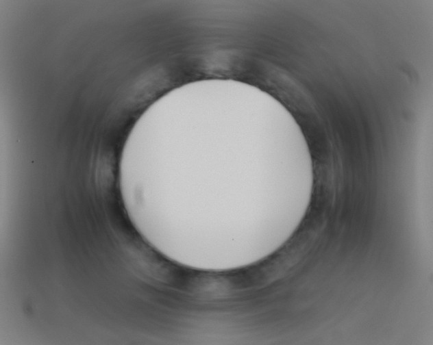 X0000113590702200910161843