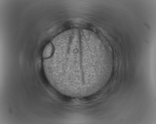 X0000113590703200910161843