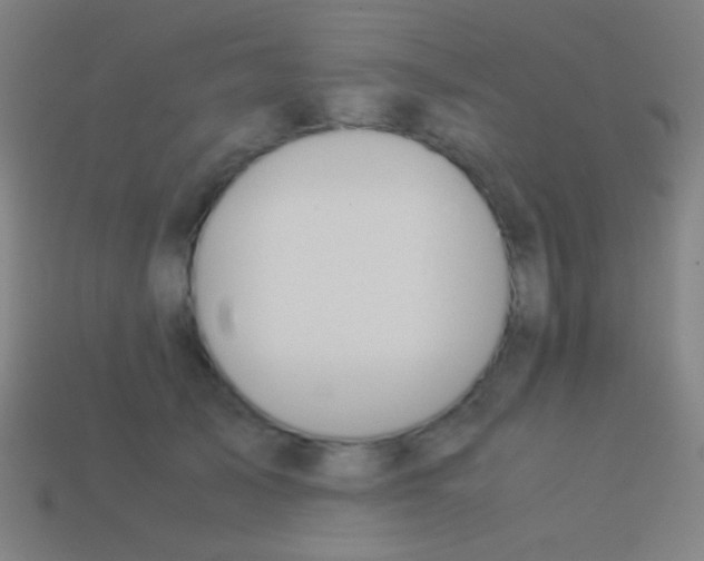 X0000113590705200910161843
