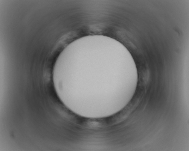 X0000113590706200910161843
