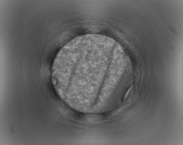 X0000113590707200910161843