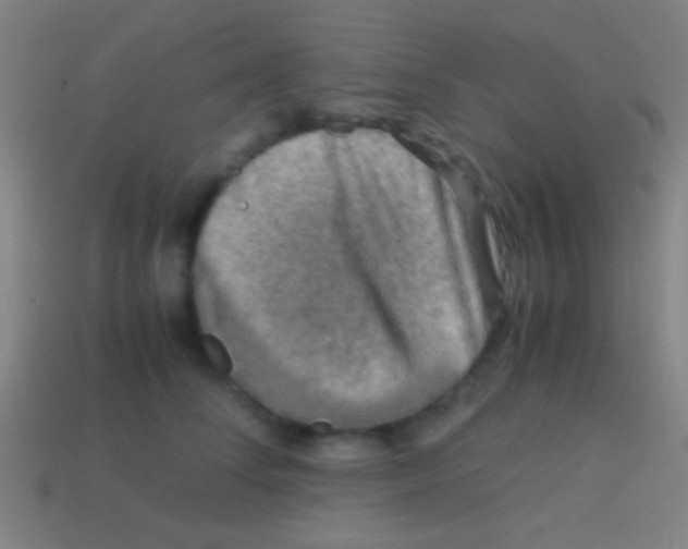 X0000113590708200910161843