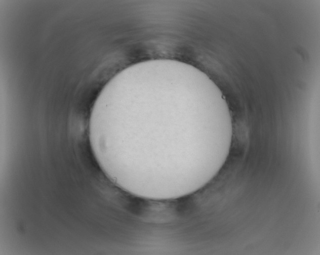 X0000113590709200910161843