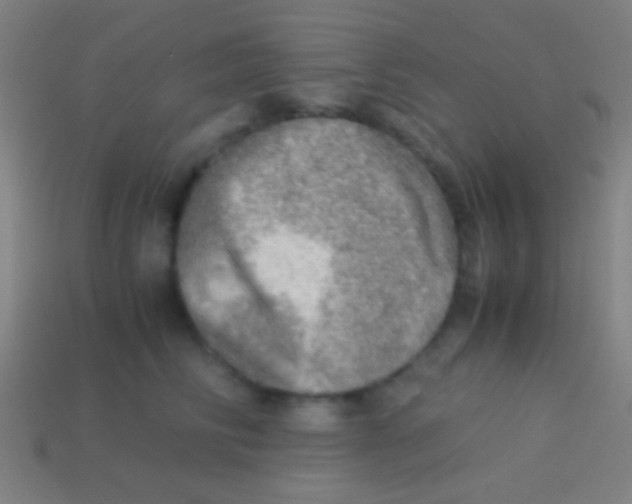 X0000113590710200910161843