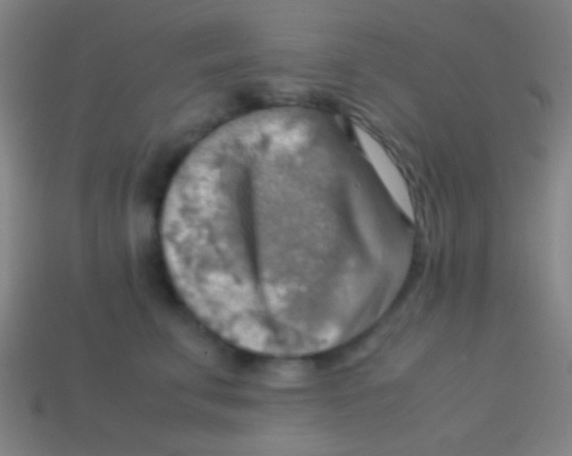 X0000113590711200910161843