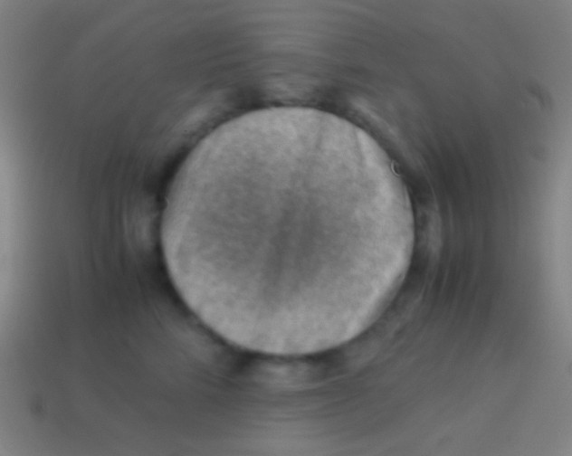 X0000113590712200910161843