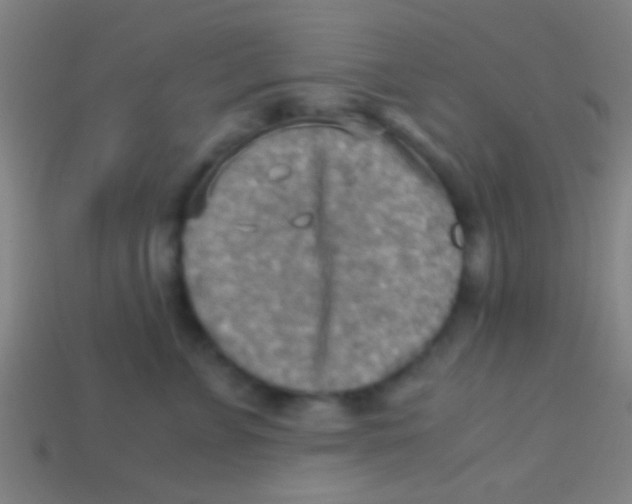 X0000113590715200910161843
