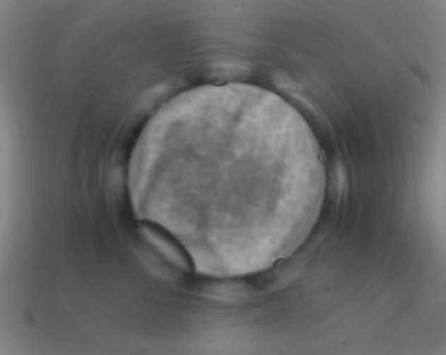 X0000113590716200910161843
