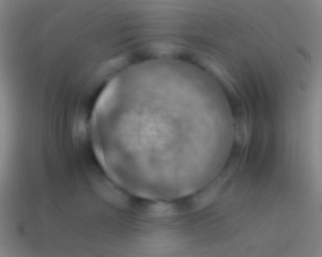 X0000113590718200910161843