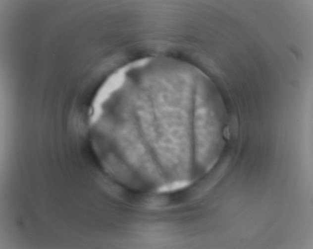 X0000113590719200910161843