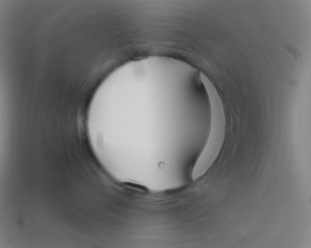 X0000113590720200910161843