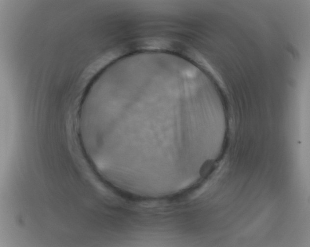 X0000113590721200910161842